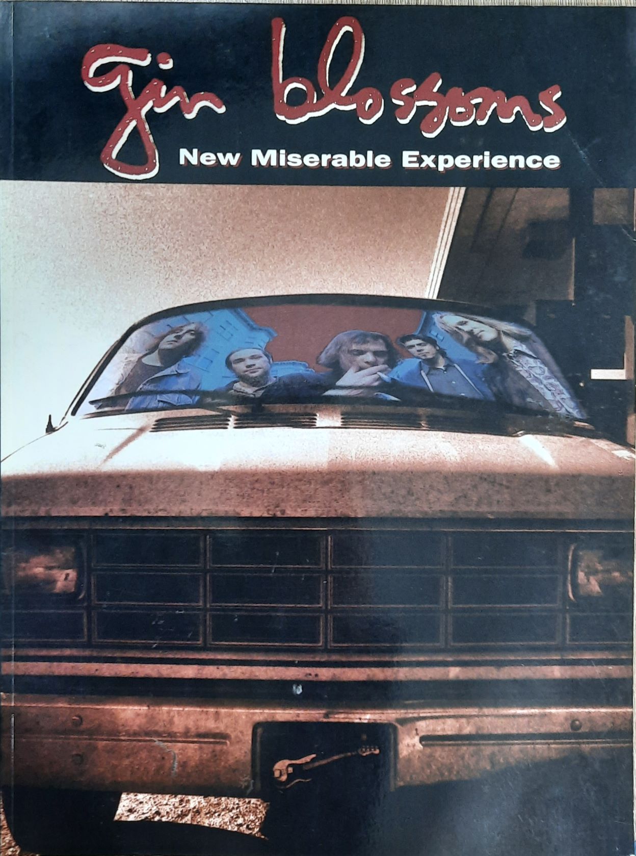 Gin Blossoms: New Miserable Experience - Books n Bobs