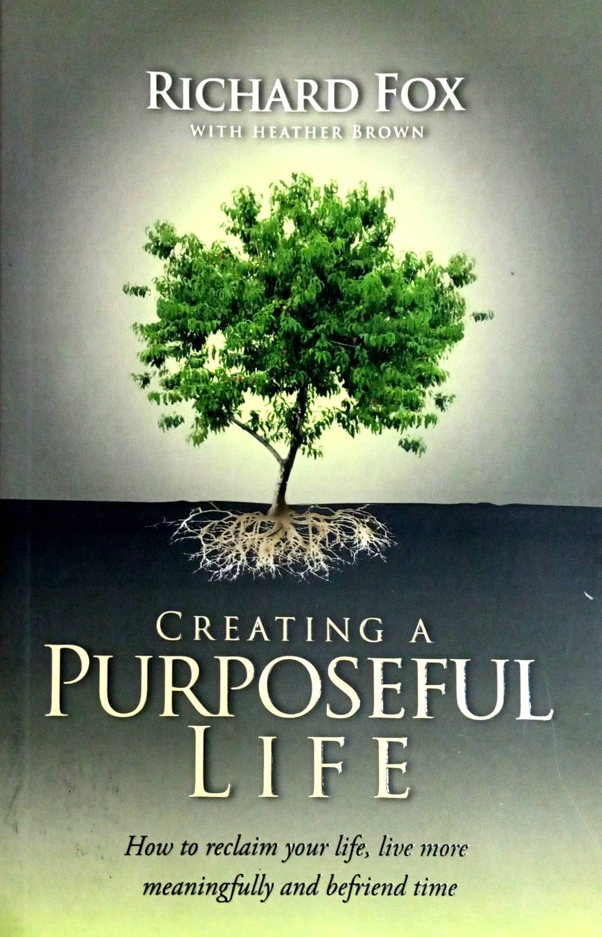 Creating A Purposeful Life: How To Reclaim Your Life, Live More ...