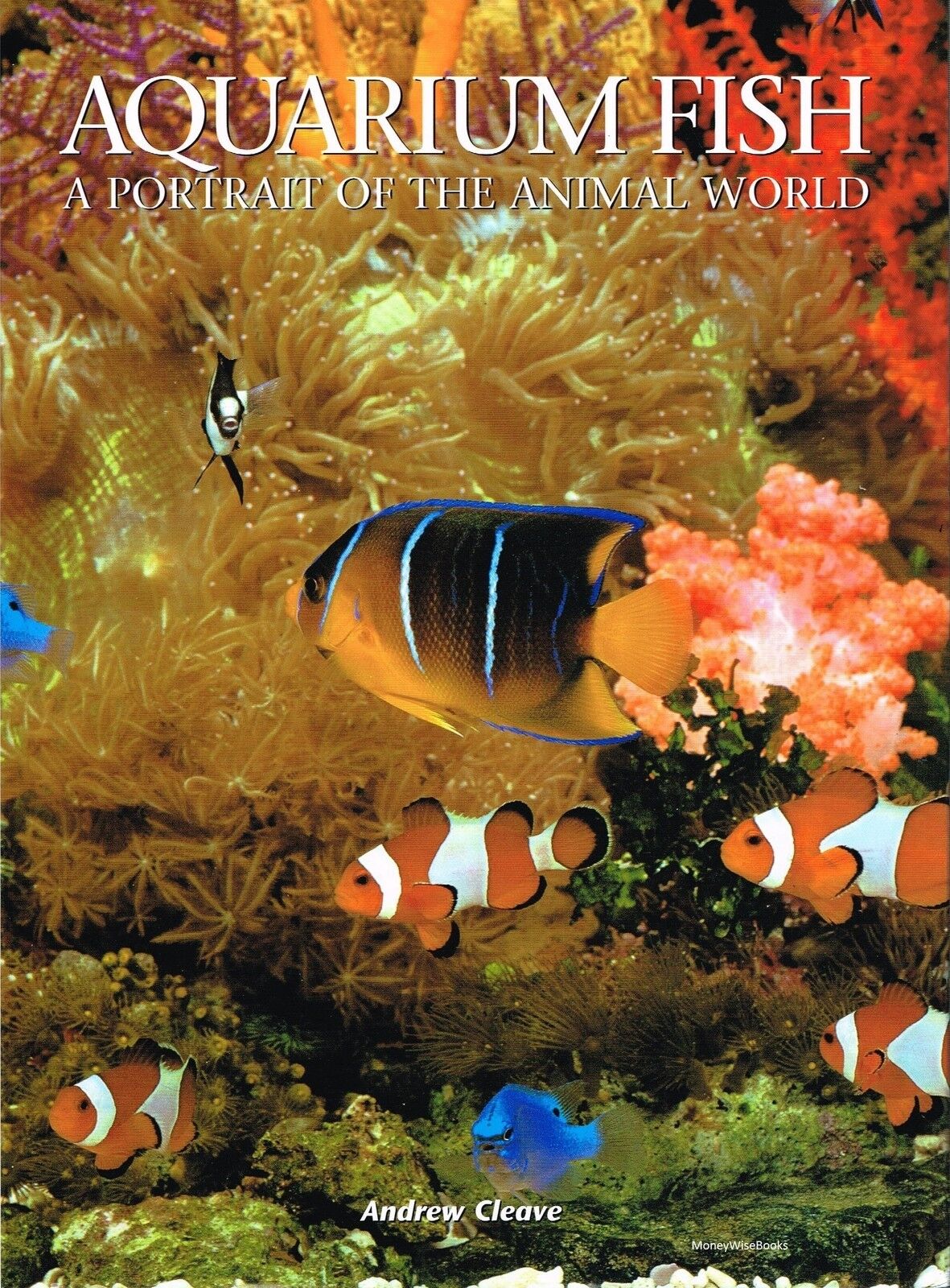 Aquarium Fish: A Portrait of the Animal World - Books n Bobs