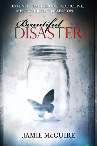 Beautiful Disaster - Books n Bobs