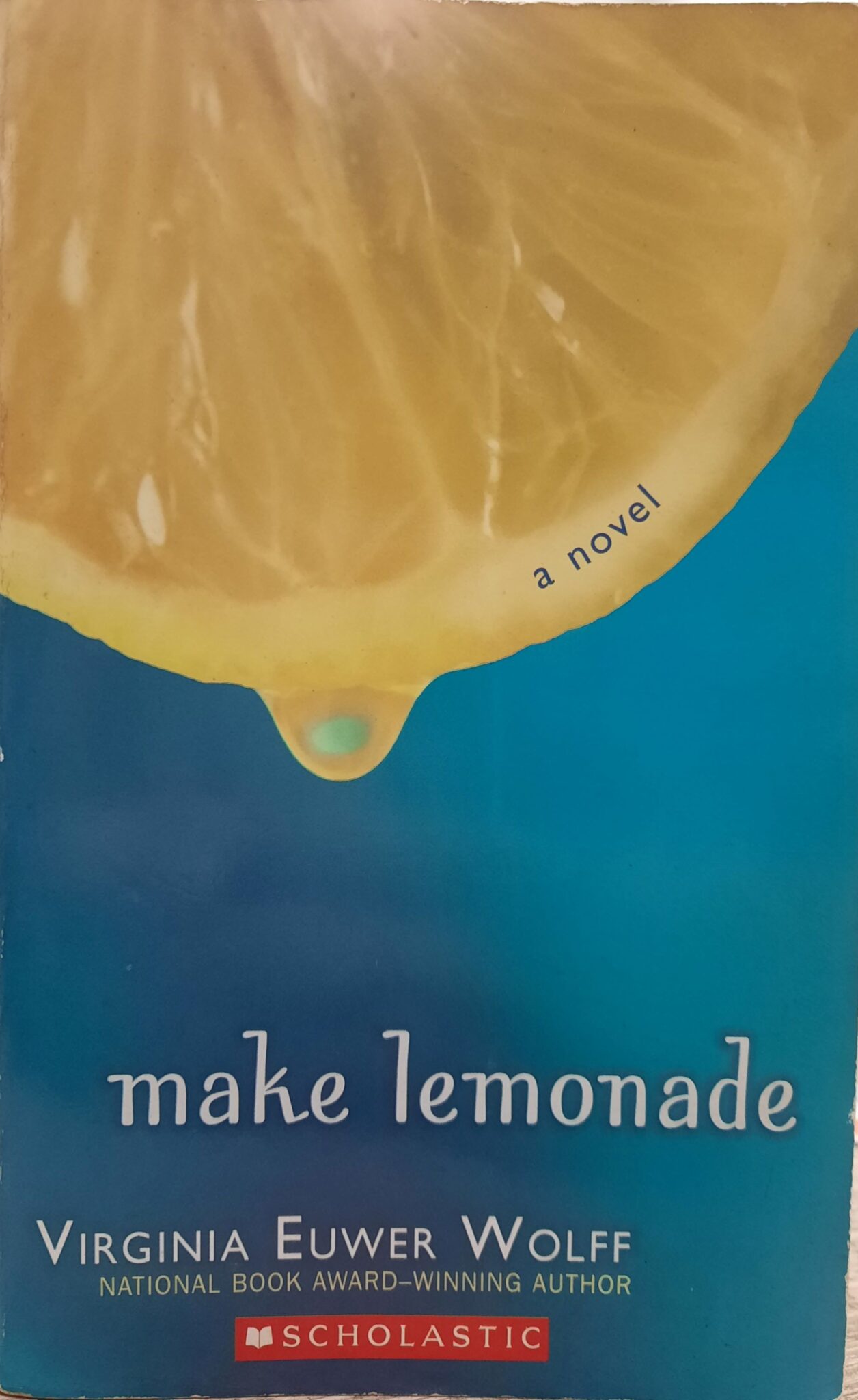 Make Lemonade - Books n Bobs